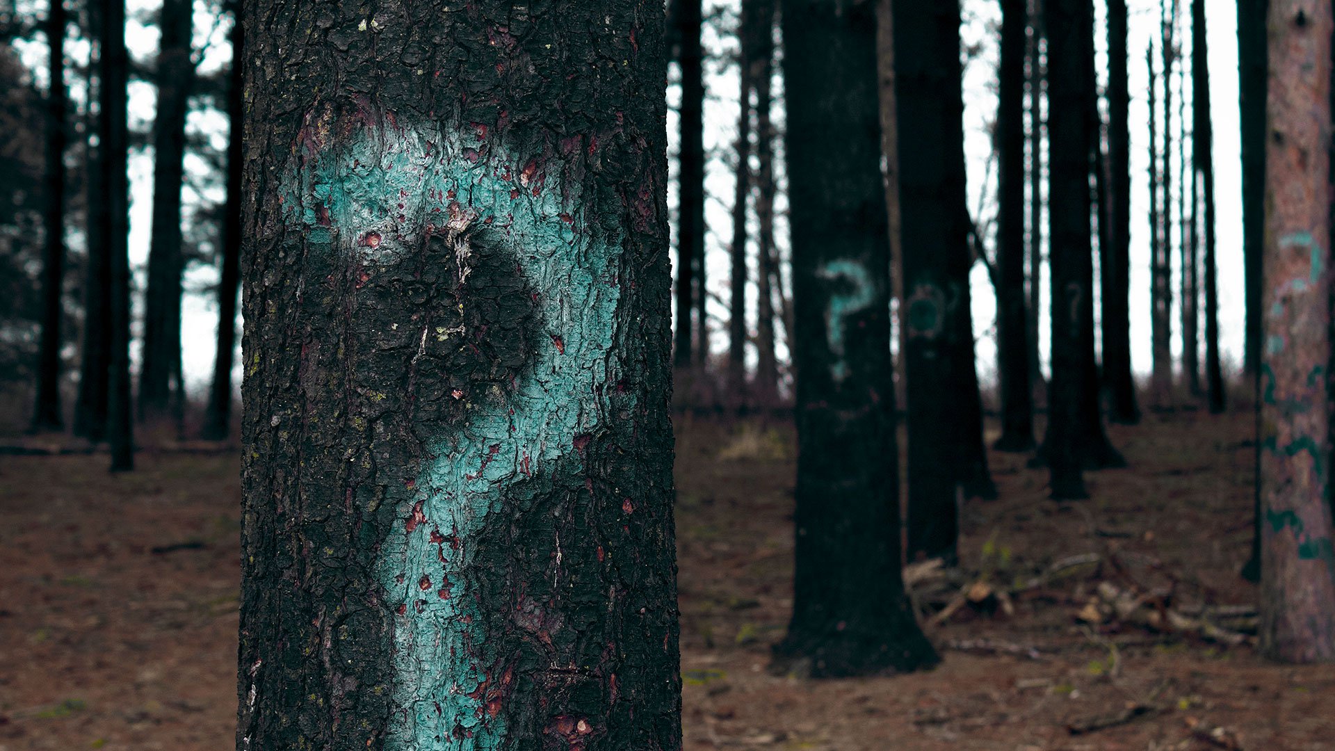 Bg hero information faq?g 5a9d46ab