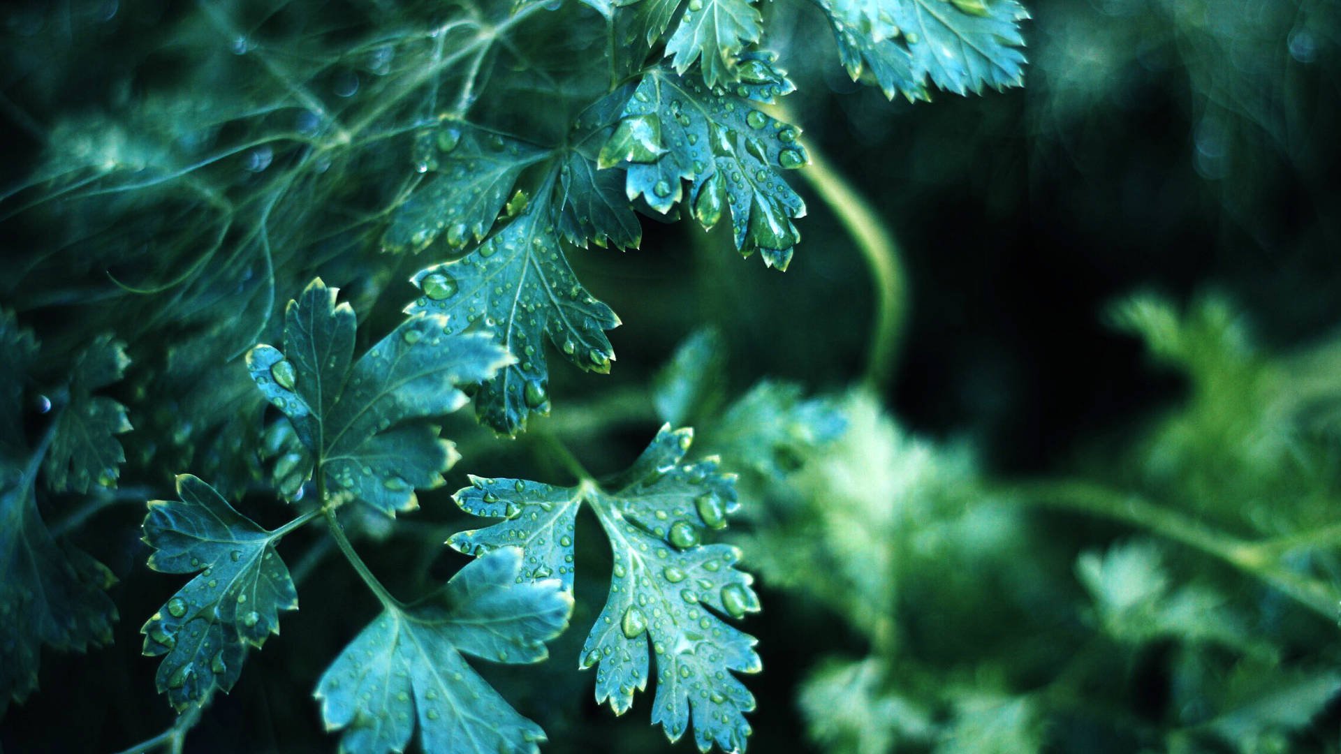 Bg hero company philosophy?g 5a9d46ab